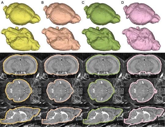 DL-BET-A Deep Learning Based Tool for Automatic Brain Extraction from Structural Magnetic Resonance Images in Mice
