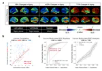 Deep Learning of MRI Contrast Enhancement for Mapping Cerebral Blood Volume from Single-Modal Non-Contrast Scans of Aging and Alzheimer's Disease Brains
